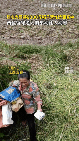 “他发财没人眼红！”江西宜春，两位留守老人打算用扁担，把6000斤稻子运回500