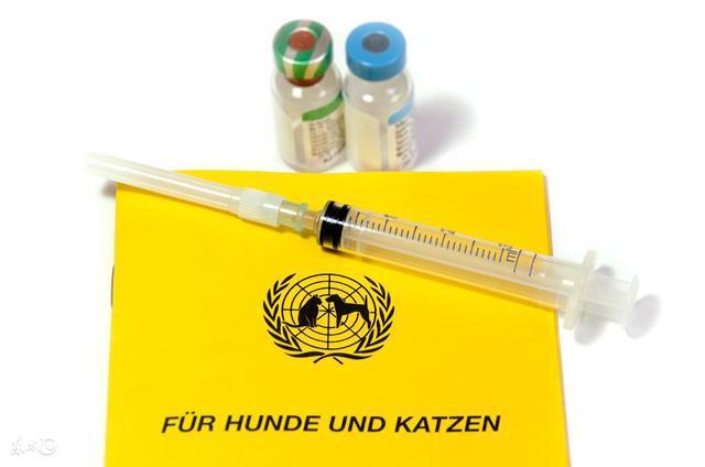 致死率100%的狂犬病能潜伏23年才发作? 被动物咬伤, 牢记这个做法