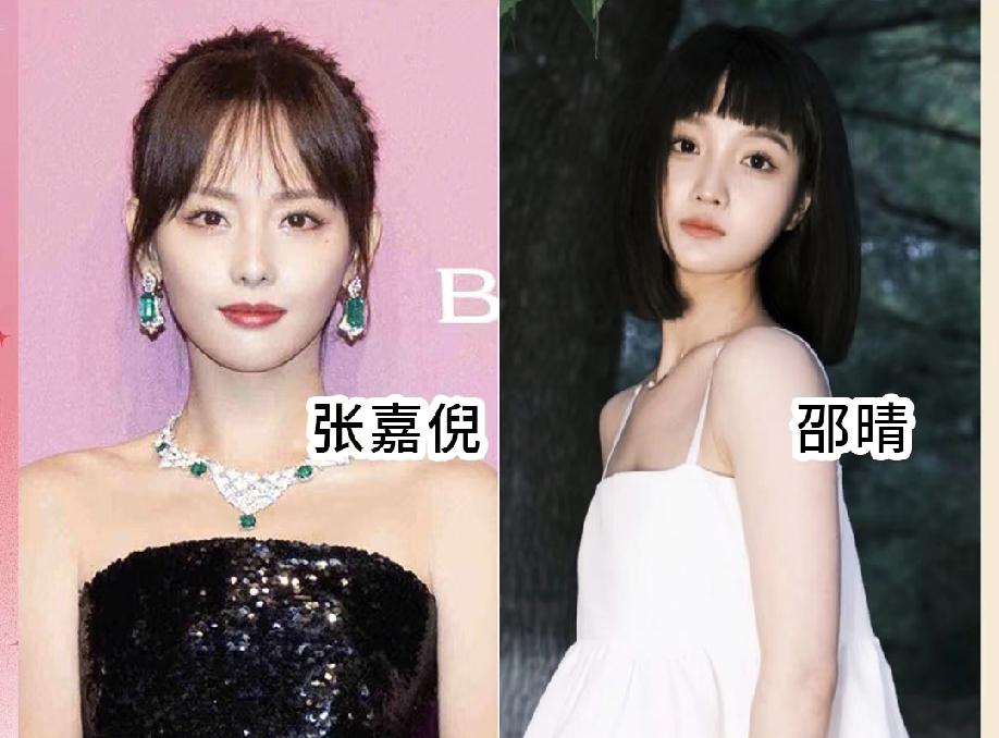 问所有男同胞一个问题，不许说谎！一边是38岁的张嘉倪，琼瑶剧出身，颜值精致气质