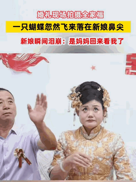 “解释不清了！”山东一位新娘结婚当天，正要和爸爸拍照时，突然一只蝴蝶径直从外面飞