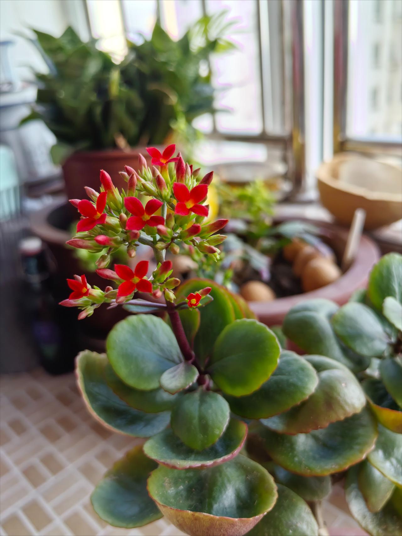 去养老院看大妗子，看着老人家心里不是滋味。养老院的环境不错，窗明几净，也没有