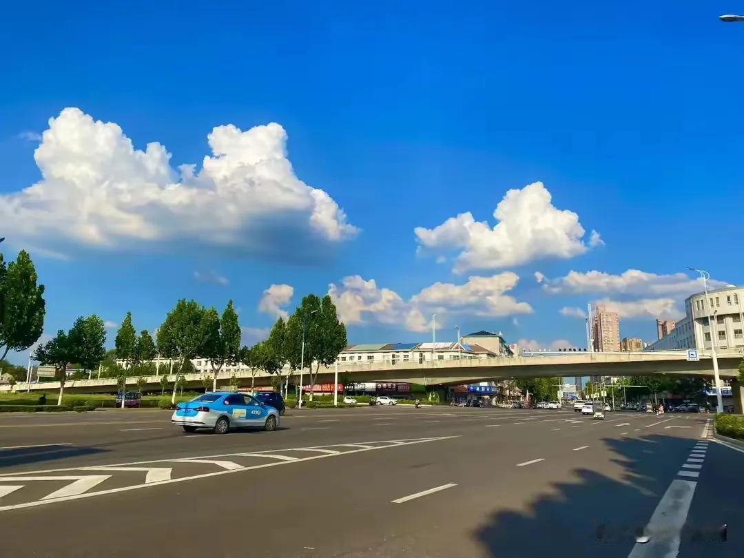 大雨，何时才能光临俺这儿？河南豫东俺这儿大旱。上午去玉米地里，看着叶子卷