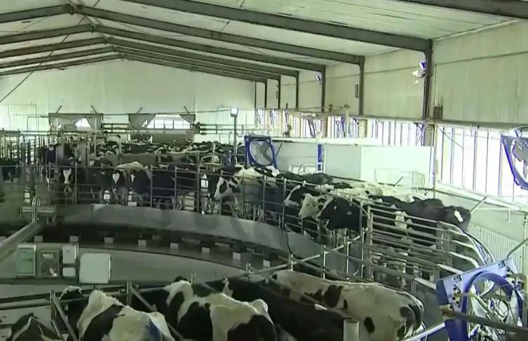 中国每年加工约2亿吨稻谷，产生1000多万吨米糠，过去几乎都拿去喂猪，如今却有人