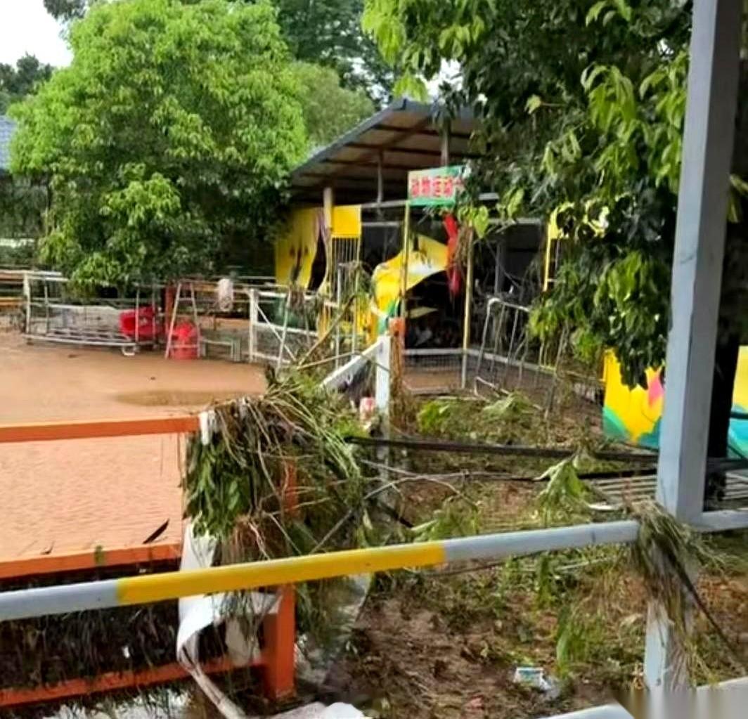 洪水来的时候，他亲手把猛兽区的笼子，一把一把，全部锁死了。水没过铁栏，没过家园