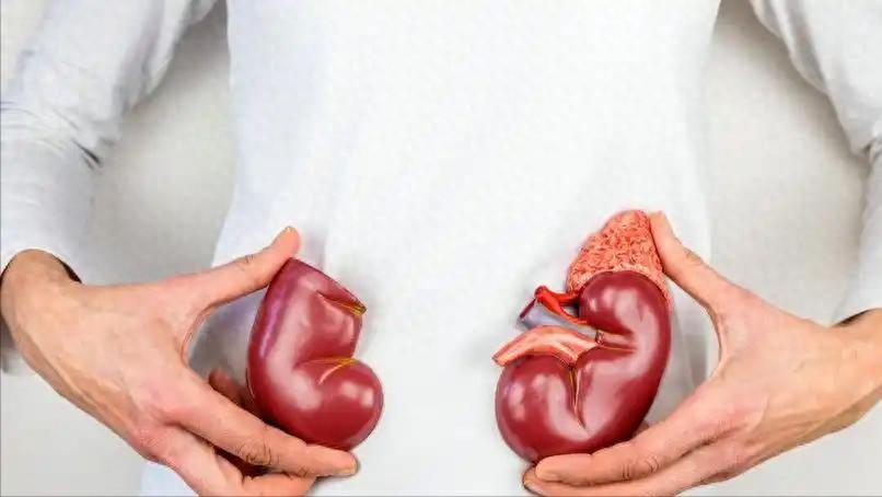 肾病患者注意！5种水果别碰，吃错可能加重病情一位六十多岁的老人，肾功能不好，