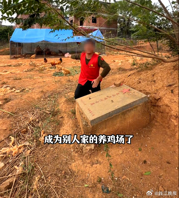 #网曝湖南永州一烈士墓地成养鸡场#【湖南永州一烈士墓地成了养鸡场？当地回应：已整