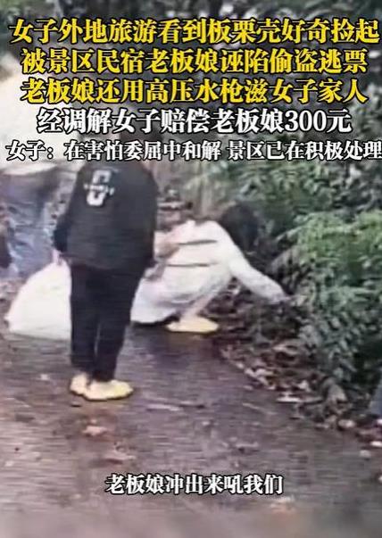 游客称捡板栗壳被民宿老板娘诬陷偷盗，首先，说明这个民宿老板娘不局气，没有格局，别