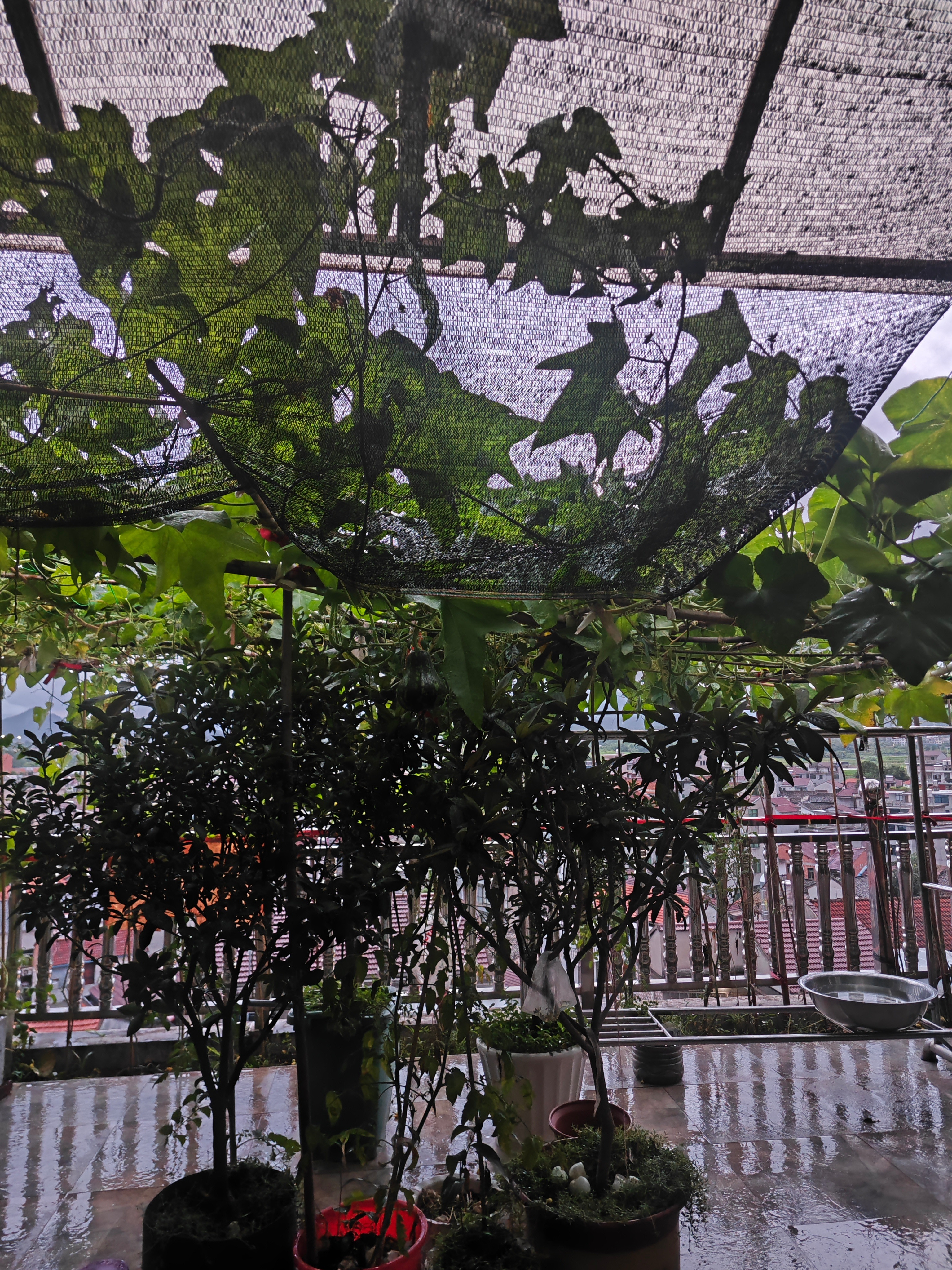 我家阳台这种要远离不
