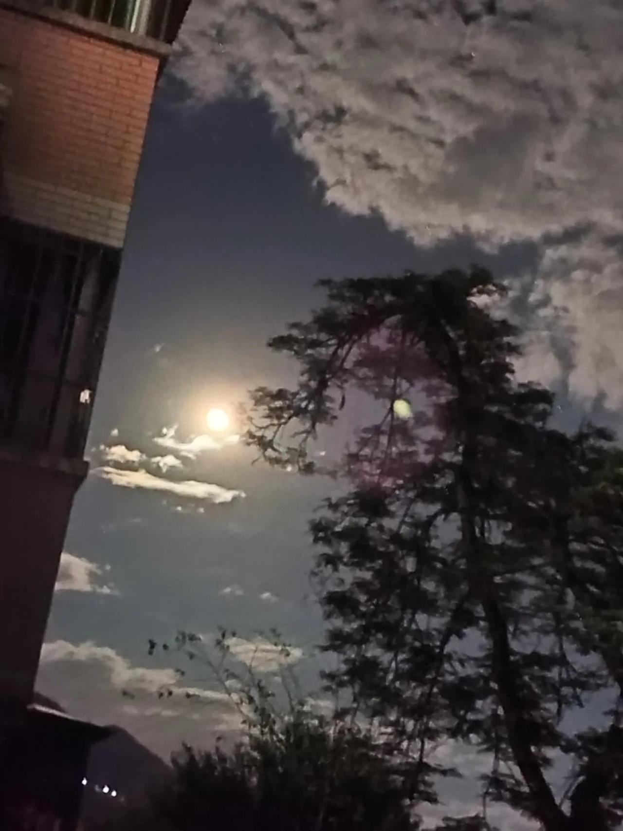 新的一年想多陪陪谁中大乐透一等奖