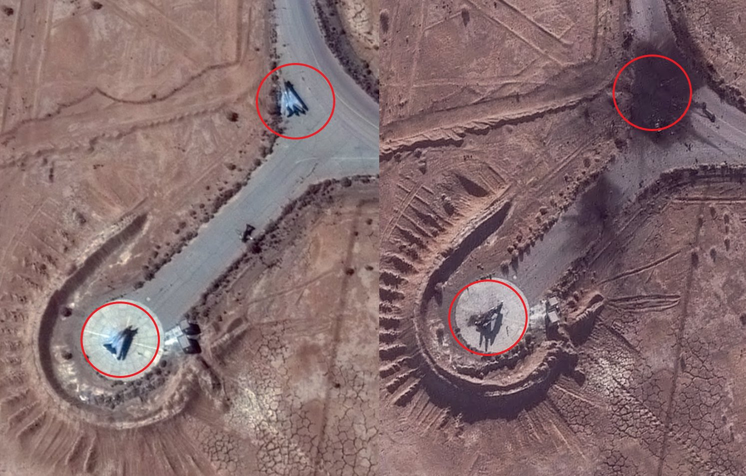 美伊以冲突最后的“大猫”，好惨