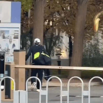 11月3日，coco在正定出发，回到体总了。coco中午1点多在正定出发，下