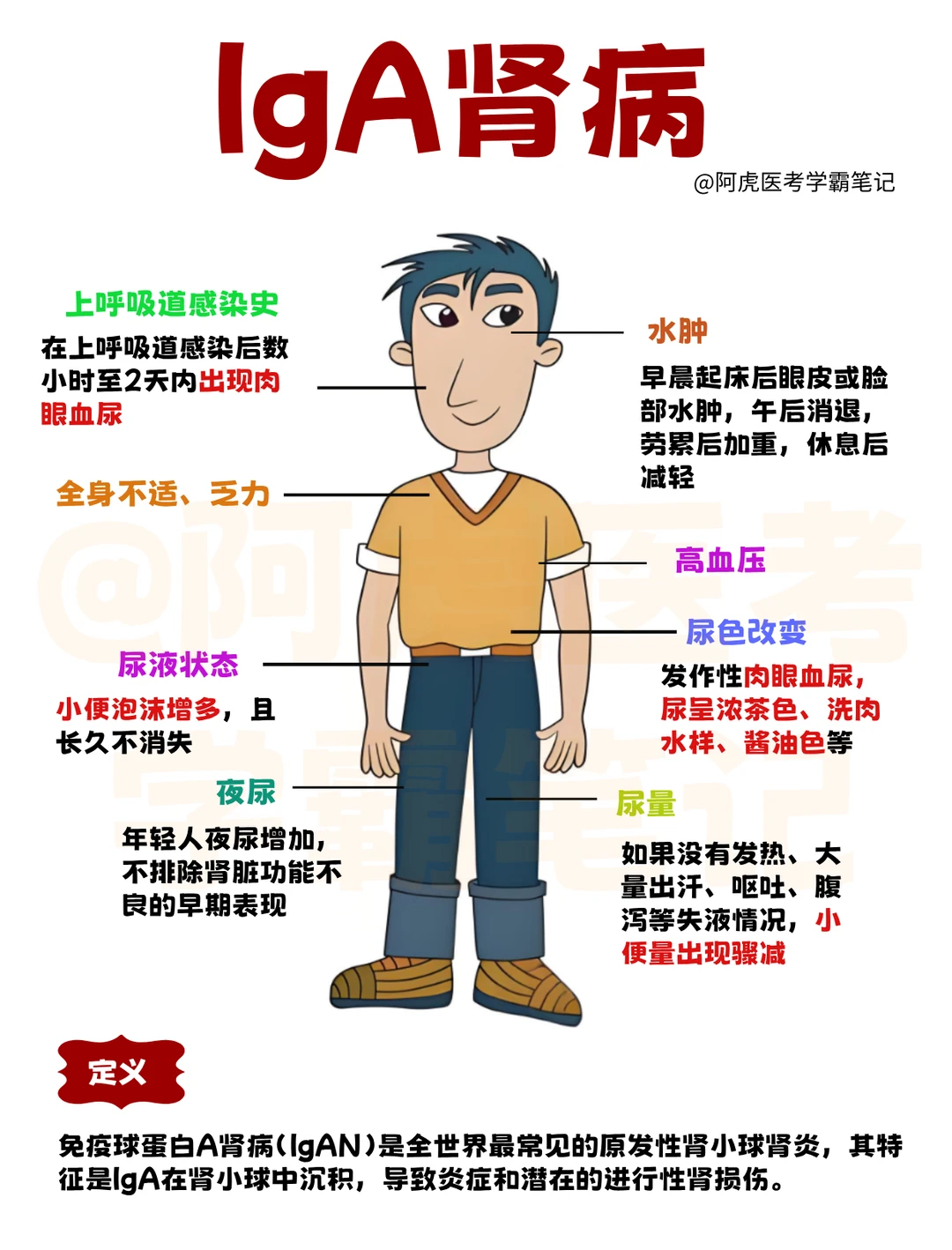 医学生笔记📒｜IgA肾病👆