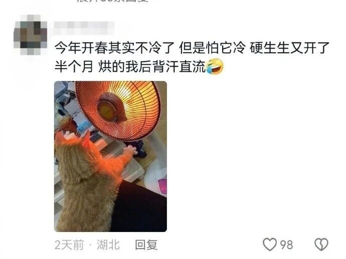 哈哈哈哈哈哈哈猫猫是全世界最可爱的吸猫一时爽，一直吸猫一直爽