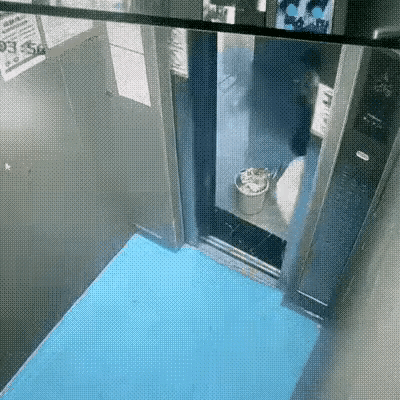 嗨！嗨！嗨！往电梯里倾倒垃圾的女子，这是电梯间，不是垃圾场！自己家的垃圾，你不