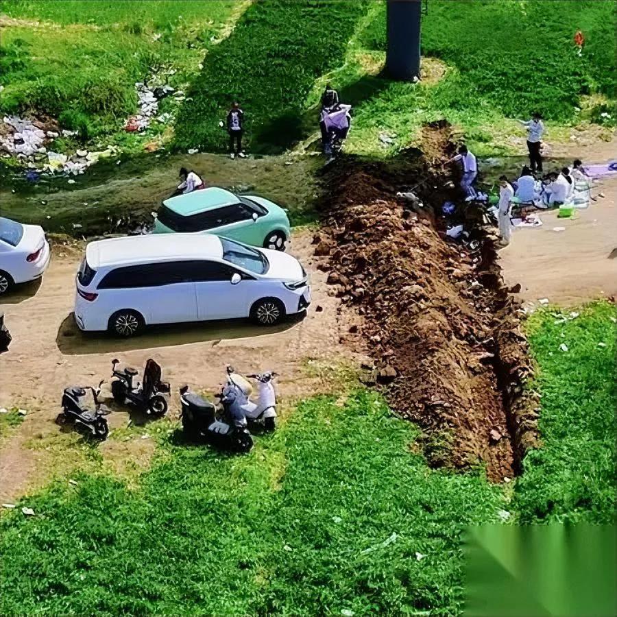 农民挖断路专为拦游客好好的路为啥要挖断？江苏沭阳这片开春的麦田，嫩黄