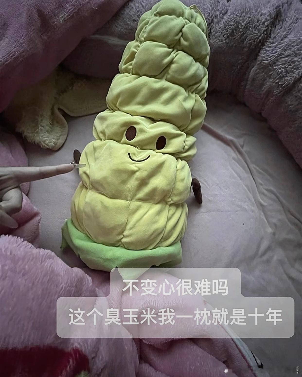 当代大学生能有多长情[doge]​​​