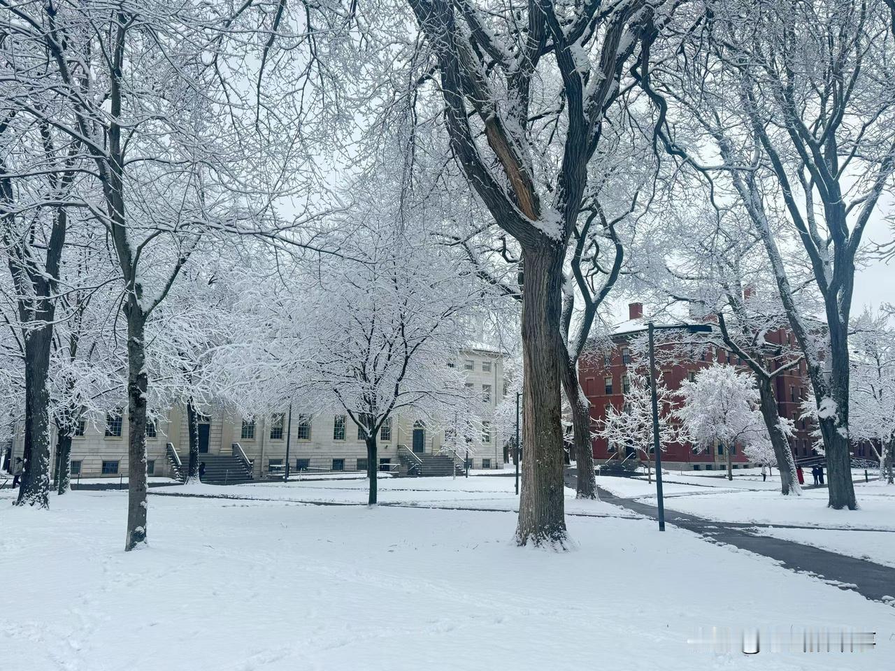 路遇一件事儿，让我笑破了肚皮:昨天在街头溜达，遇到两个骑电动车路人发生了纠纷，两