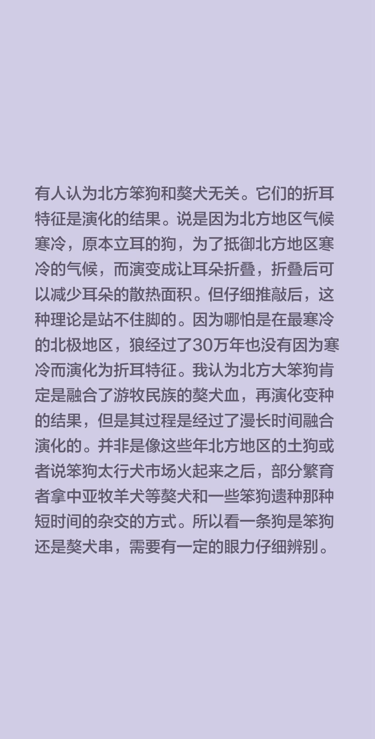 有人认为北方笨狗和獒犬无关。它们的折耳特征是演化的结果。说是因为北方地区气候寒冷
