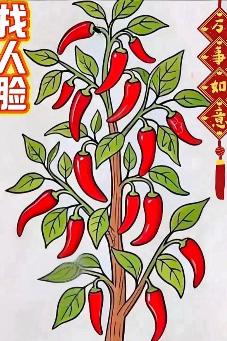 眼力测试！辣椒树藏着3张人脸来挑战眼力，这幅辣椒图里面藏了3张人脸。