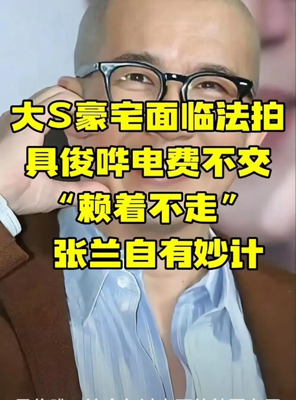 大S豪宅或将面临法拍大S豪宅要被法拍了？这瓜真是越吃越有味儿了。具俊