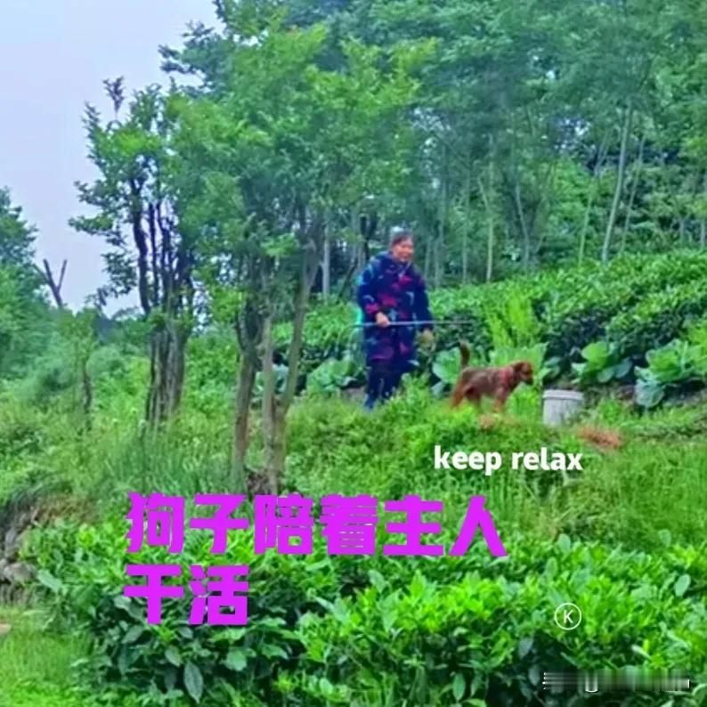 女子休假回了一趟老家，呼吸着乡下的新鲜空气，让人感到特别的踏实。每次回老家，除了