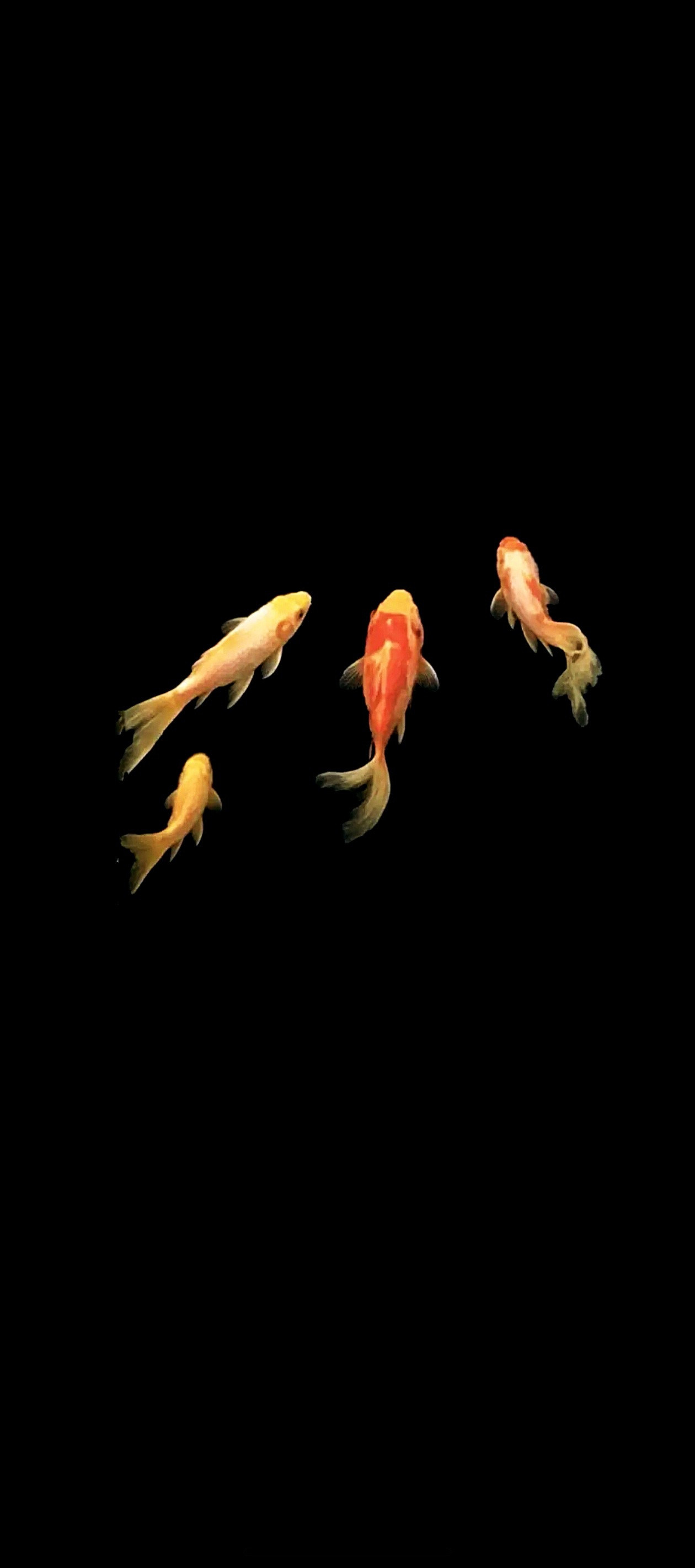 穷并不可怕，可怕的是，穷的人是我。（内容摘自网络，图文无相关）​​​