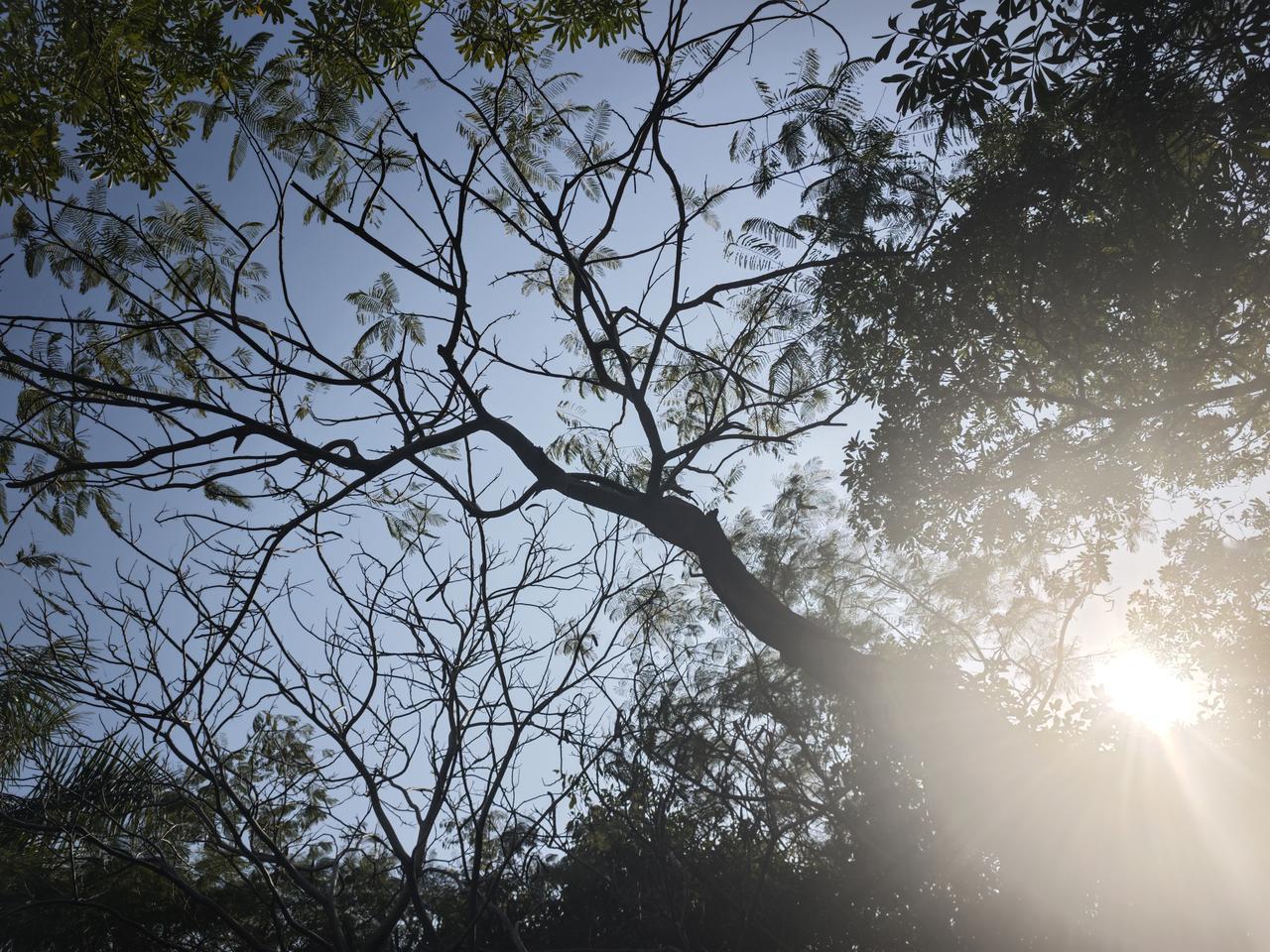 阳气没了，因为阴衰锁不住阳，人就老了。用科学来解释，就是细胞氧化，端粒变短。