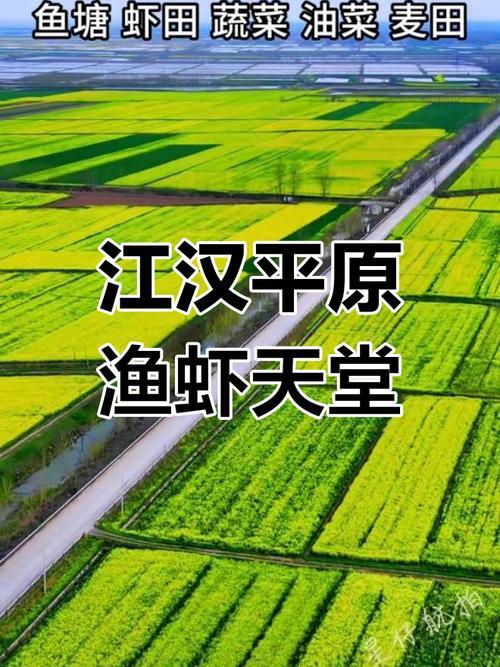 史载：荆楚盛地.江南鱼米之乡。洞庭湖平原是史上最富庶的地方.没之一。江南一词起