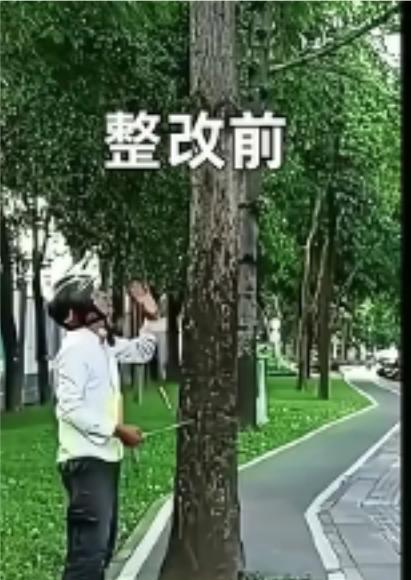 每天挑“毛病”的深圳卷尺哥在深圳这座充满活力与创新的城市里，有一位普通的上班