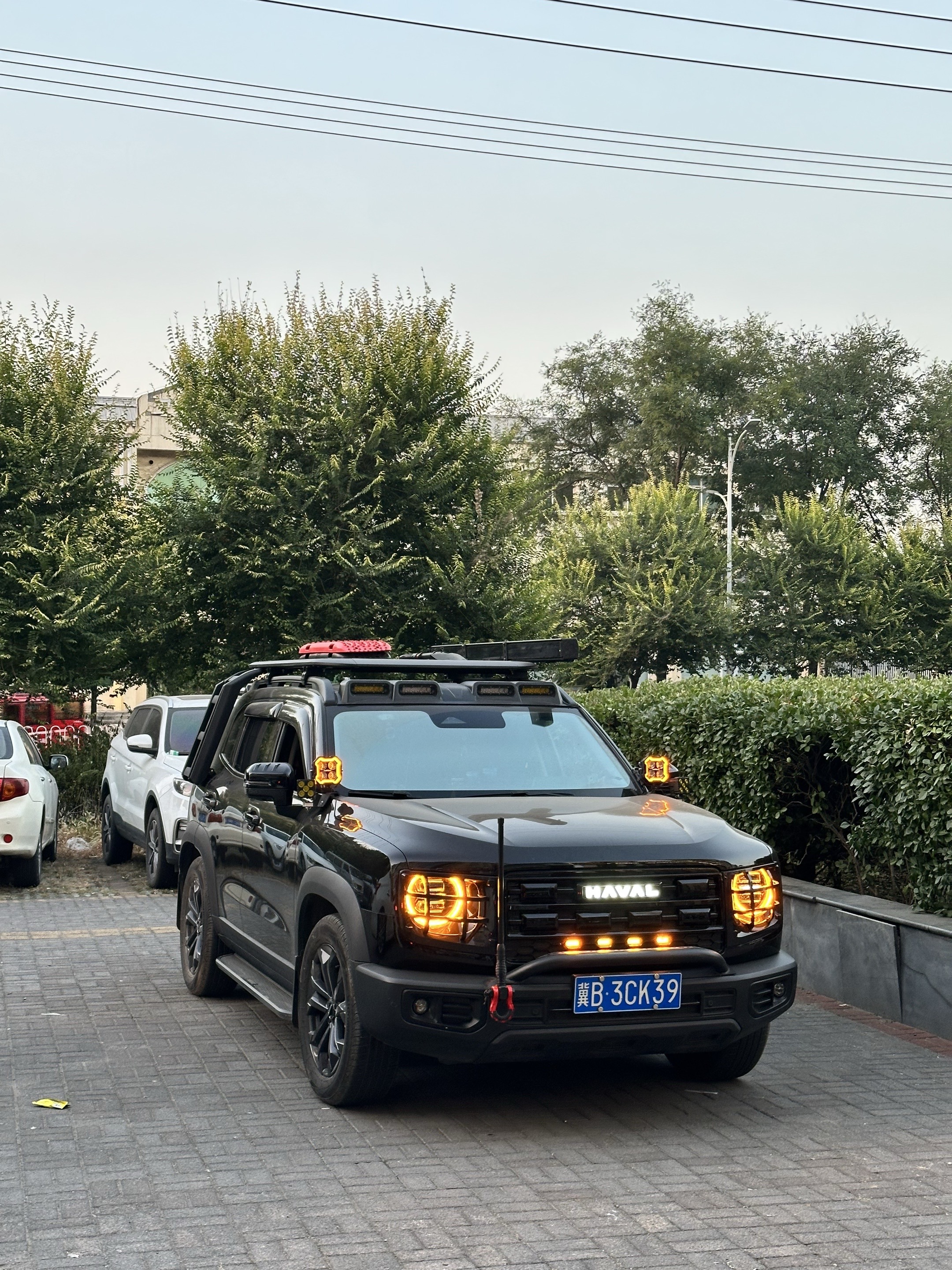 买车买喜欢的才是重点哈弗大狗大狗无处不趣