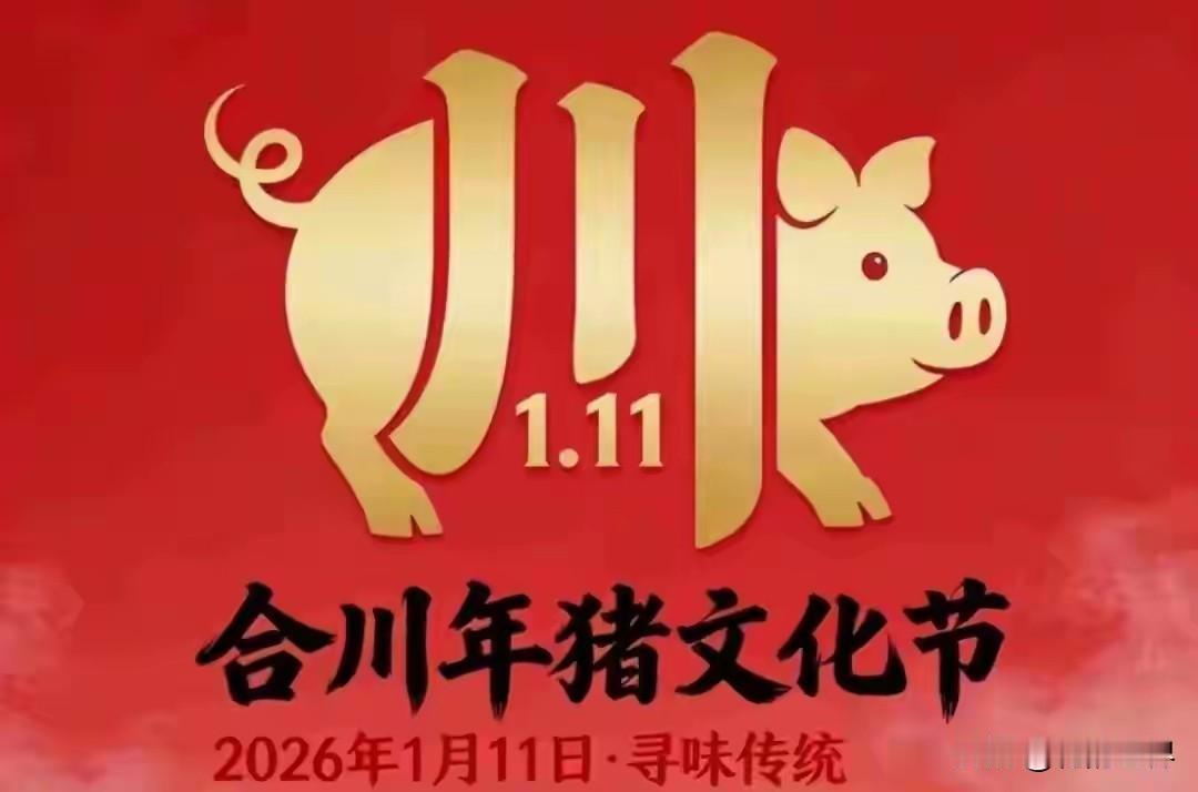 一个女孩创造了一个节日？合川年猪文化节，一个合川叫“呆呆”女孩引爆的据说每