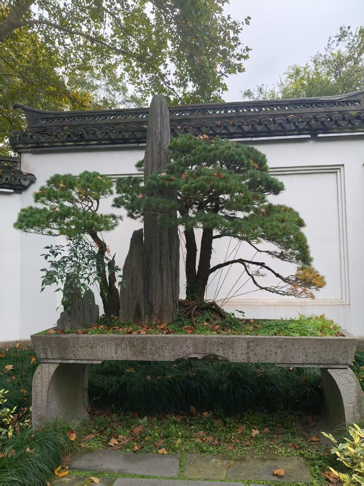 我于1983年参加高考，高考结束后估分填报志愿，那时实行的是一条龙录取方式。填报