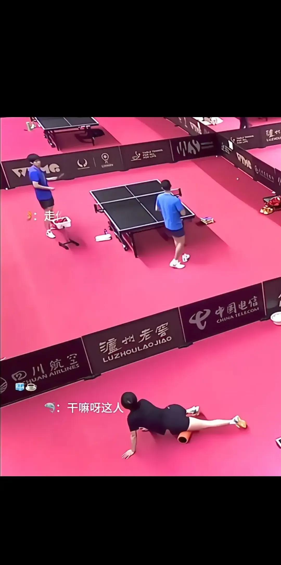 王楚钦训练的时候，孙颖莎千万别出现！近期王楚钦和队友认真练球，莎莎出现了，