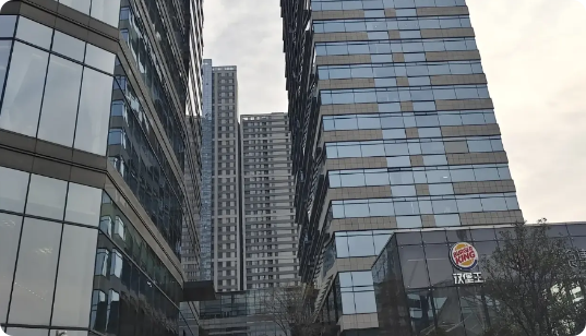 侄子上班第四天就被公司开除了，其实，这都是意料之中的事情。原因也很简单，因为侄