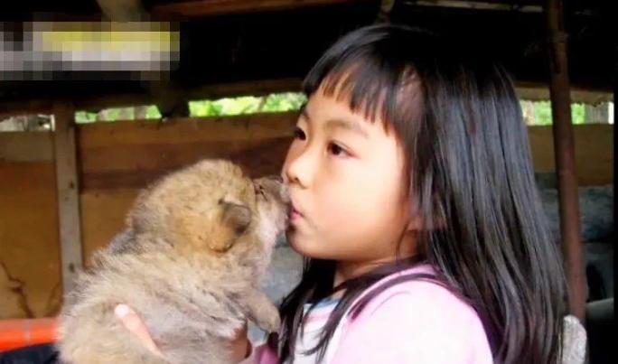 1987年，东北一3岁女孩救了小狼的命，竟然把它当成了玩伴，哪曾想！这看似普通的