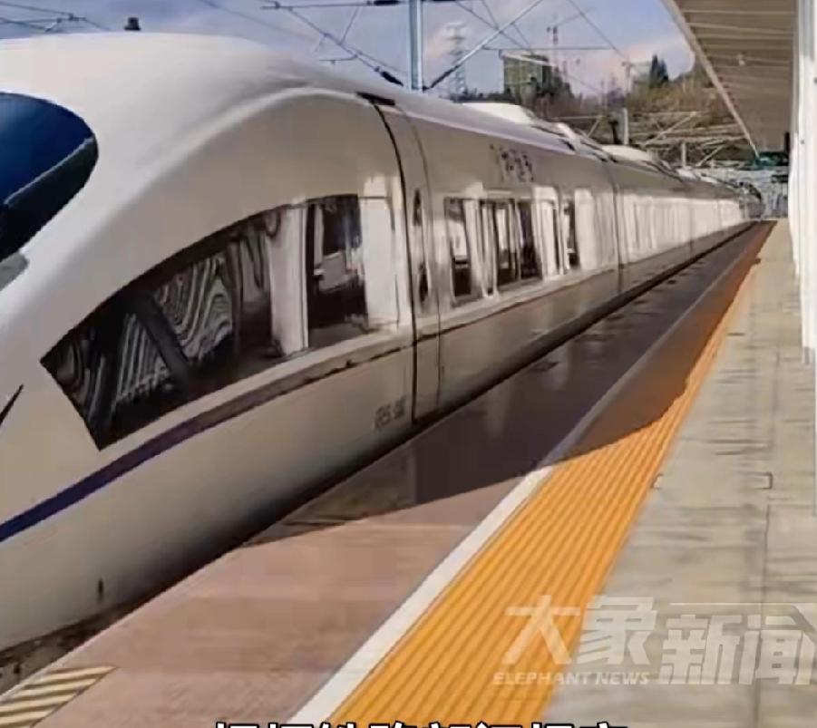 高铁座椅间隙钻出蜥蜴，近日网友杨先生向记者反映2月2号，他的妻子乘坐高481次列