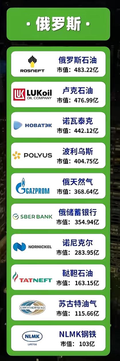 俄罗斯市值最高的十家公司，最高的市值483.22亿美元。俄罗斯市值最高的公司是