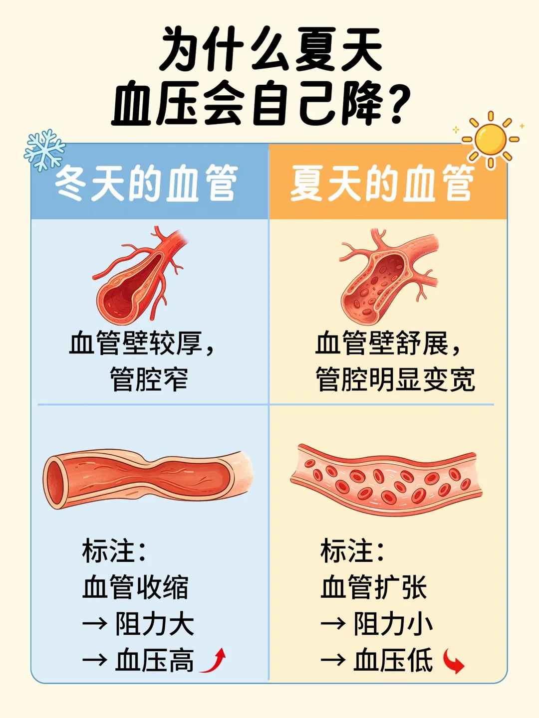 夏天血压偏低，减量前先问医生