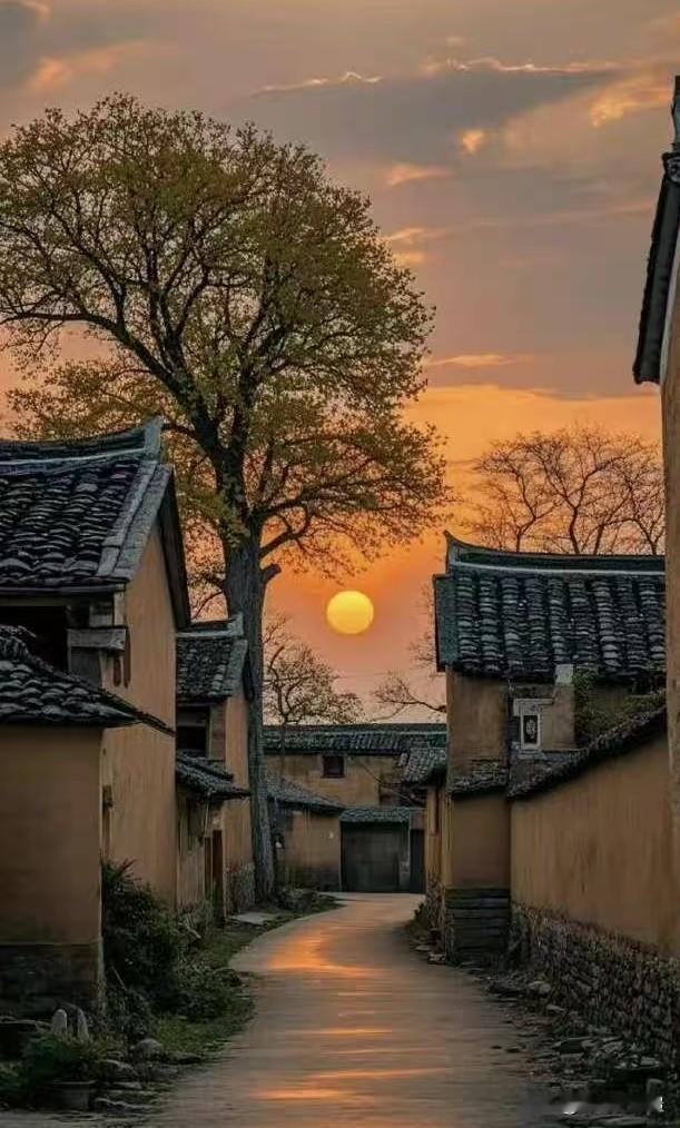 成年人最大清醒：日子过得舒服，真没必要勉强结婚一位情感专家对结婚的诠释一针