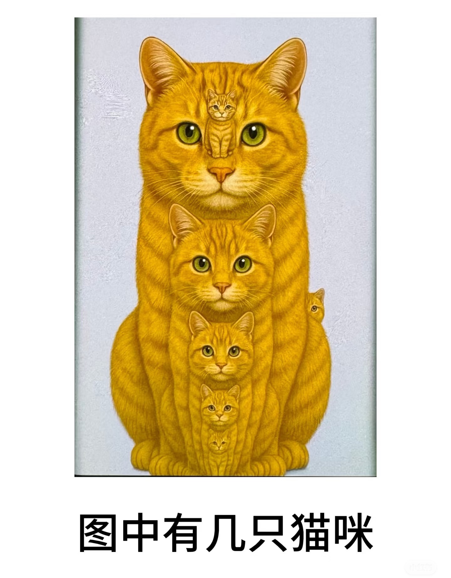 图中你能看到几只猫咪🐱我看到是7️⃣只，别人非要说8️⃣只，真的找不到