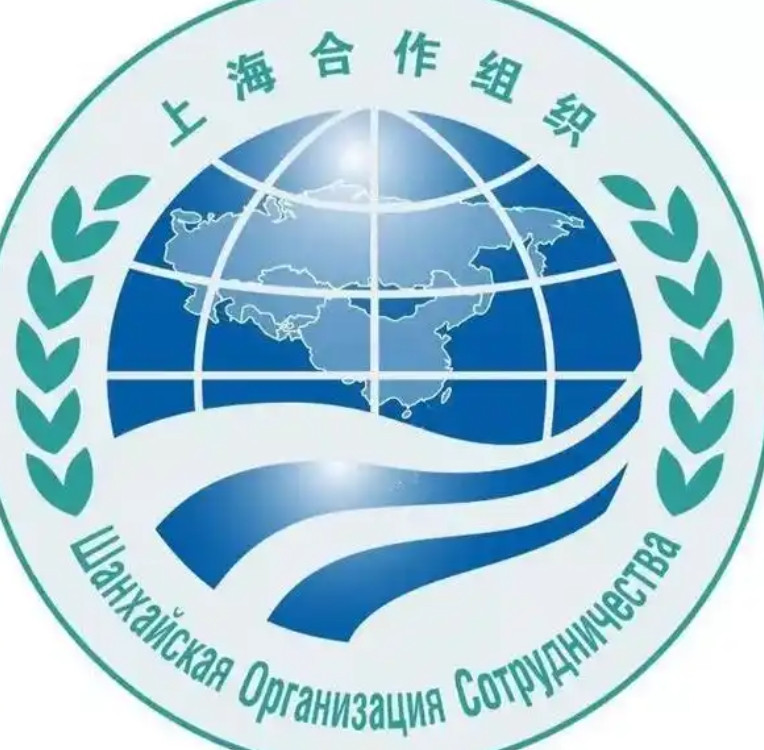 上合组织发布：以色列袭击伊朗行动属于侵略行为。如果以色列被认为是恐怖行动，以色
