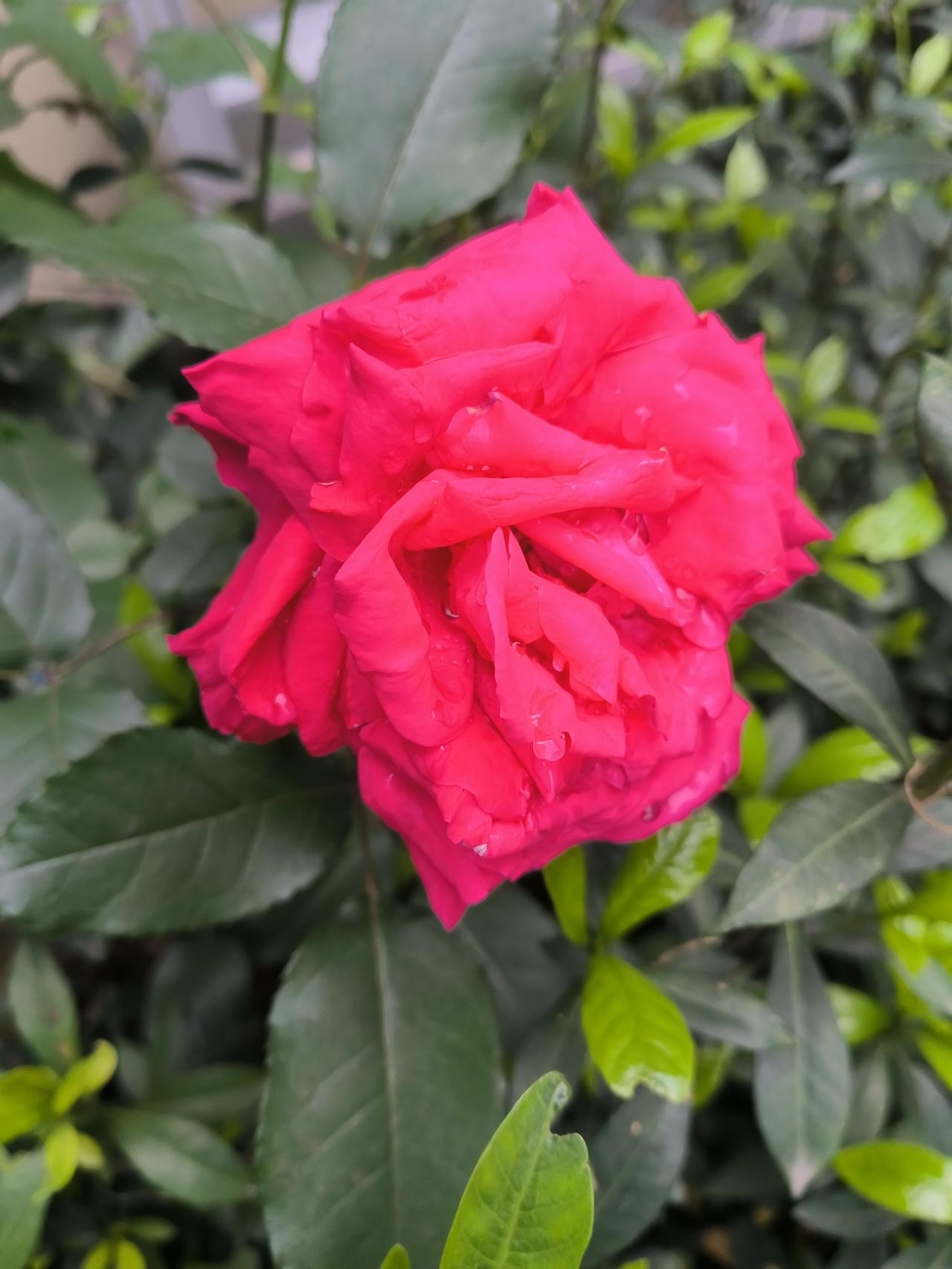 建议所有婆婆，在儿子家里，要学会闭嘴。你越唠叨，儿子儿媳越反感，矛盾越多；