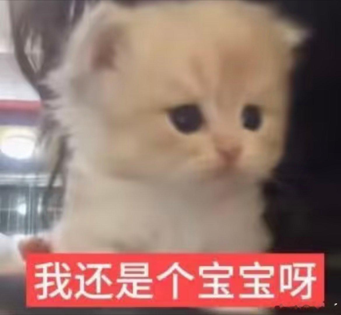 搞笑表情包。​​​