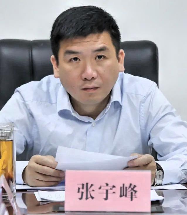 九江市武宁县，张宇峰拟任县区委书记张宇峰，1984年出生，2005年7月参加
