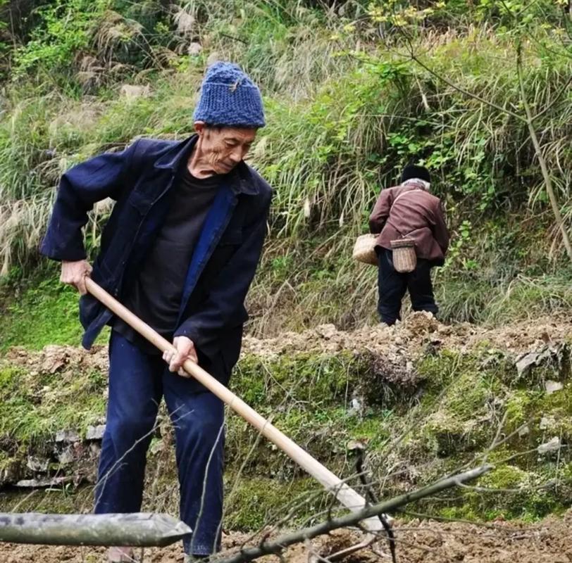 二舅，活了大半辈子，吃过苦、受过累，到老了才真正明白一句大实话：人这一辈子，年轻