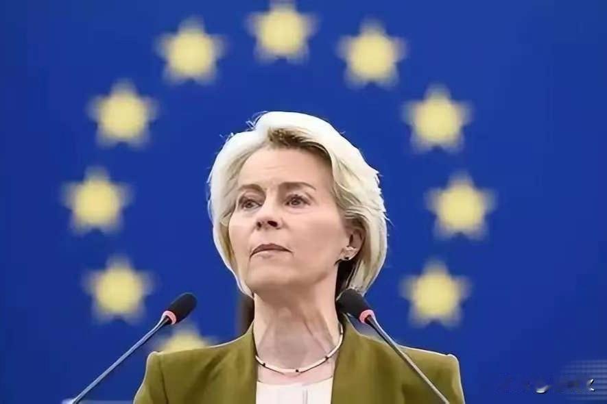 白眼狼一个！欧盟突然宣布对中国动手了1月29日，据中国贸易救济信息网消息，