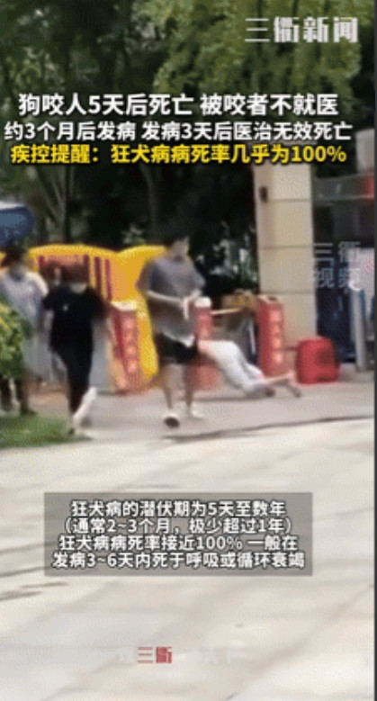 “省钱省出大事了！”广东，市民被狗咬伤后没打疫苗，不料，伤人犬竟在5天后死亡！医