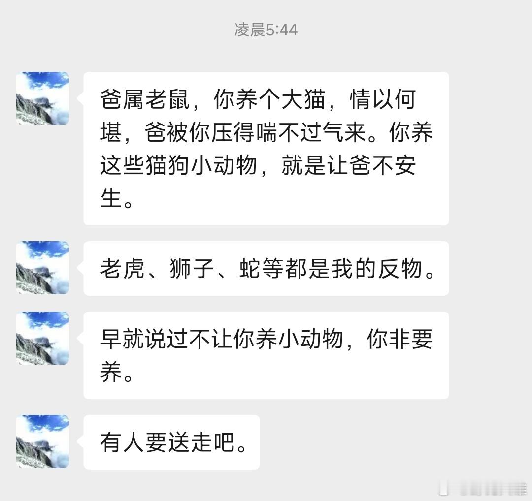 老爸不想让我养猫怎么办❓​​​