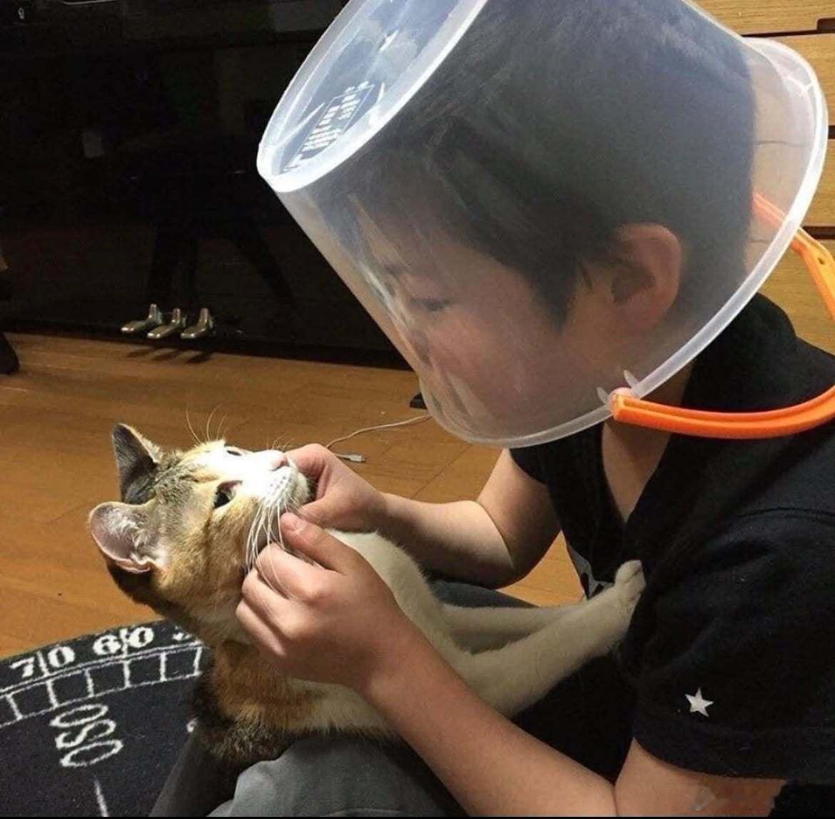 脸被猫抓伤了之后……小猫的眼睛透着绝望感[doge]​​​