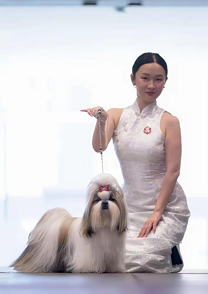 霍思燕带狗比赛这波操作，直接把中式美学焊在了国际赛场——谁能想到，一只西施犬和几